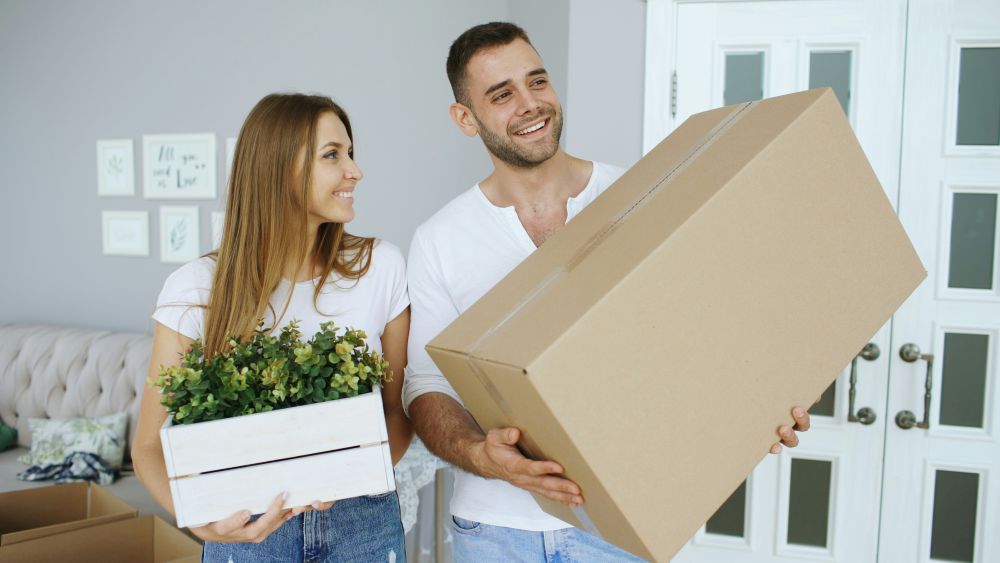 moving boxes